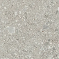 Ceppo Di Gre Grey 60x60 cm