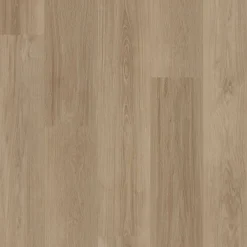 Zenn 55 Orlando